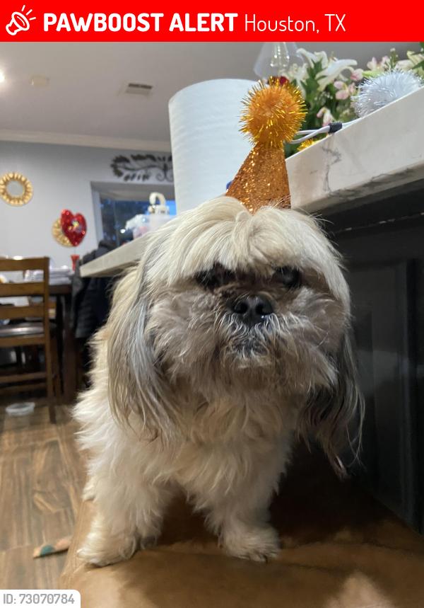 Lost Male Dog last seen Dillon St and Hinman St, Houston, TX 77061