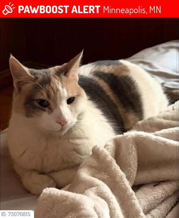 Lost Female Cat last seen Silver Lake Rd NE & 31st Ave NE, Minneapolis, MN 55418
