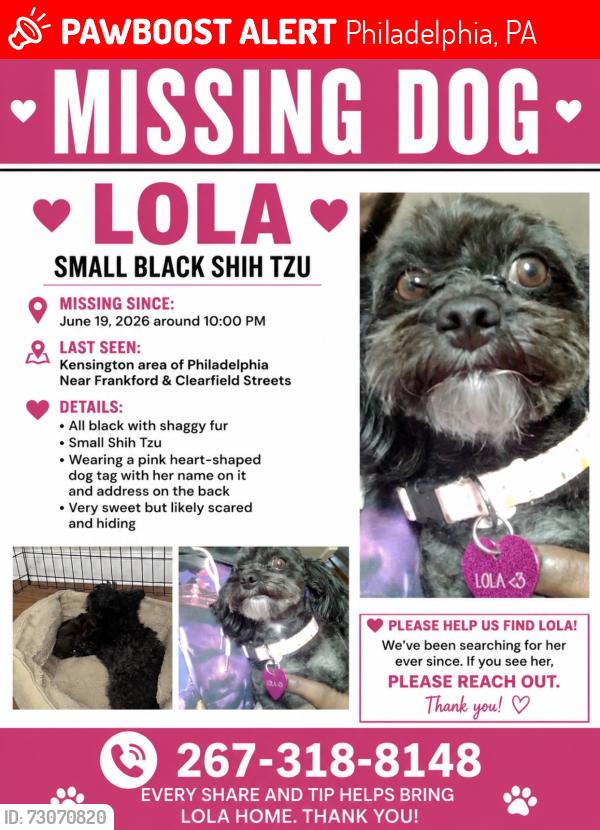 Lost Female Dog last seen New Frankfort Avenue and E Clearfield Street, Philadelphia, PA 19134