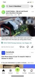 Lost Unknown Rabbit last seen Spring valley, Las Vegas, NV 89147