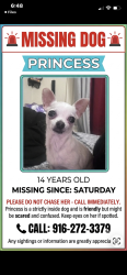 Reunited Female Dog last seen 7th and 9th ave, Sacramento, CA 95817