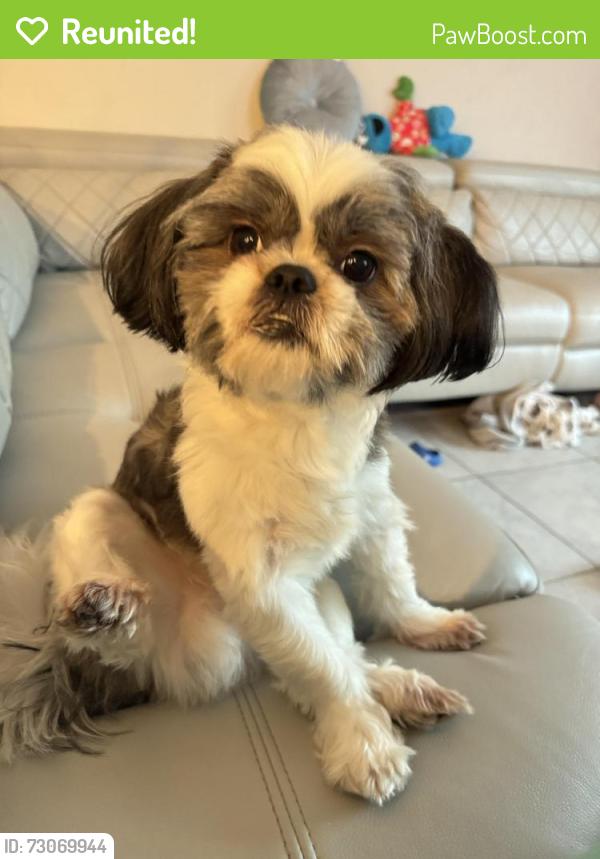 Reunited Male Dog last seen spencer creek , Ruskin, FL 33570