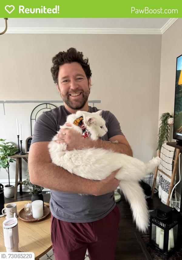 Reunited Male Cat last seen German Village, Columbus, OH 43206