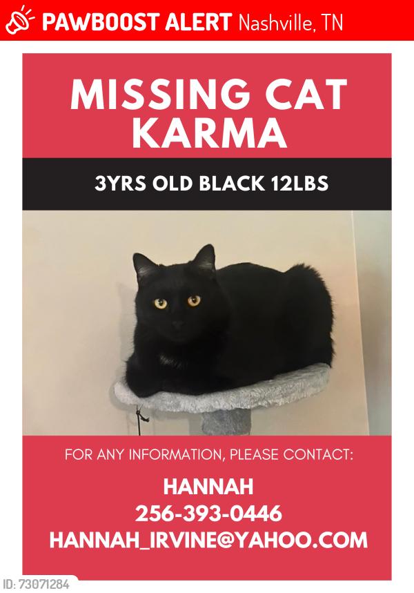 Lost Female Cat last seen Station 40/ Elkins Alley, Nashville, TN 37209