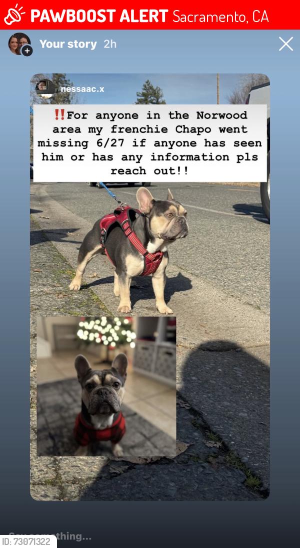 Lost Male Dog last seen Norwood, Sacramento, CA 95838