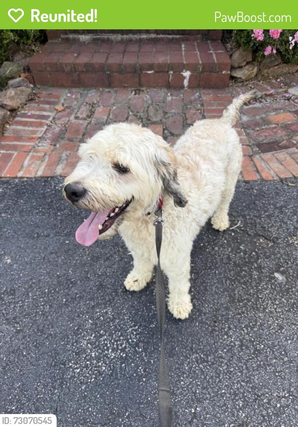 Reunited Male Dog last seen Marietta ga , Marietta, GA 30060
