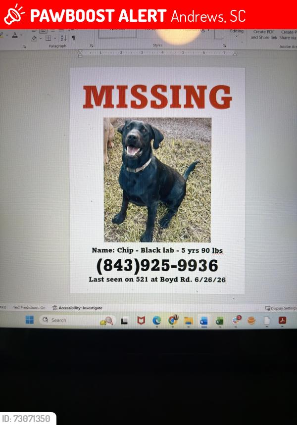 Lost Male Dog last seen Boyd Rd., Andrews, SC 29510