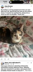 Reunited Female Cat last seen Hwy 21 & hwy 116 by the cheese hse, Omro, WI 54963