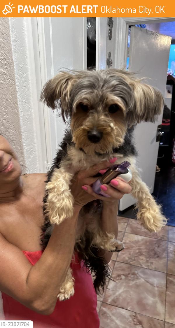 Found/Stray Male Dog last seen NW 122nd and MacArthur, Oklahoma City, OK 73142