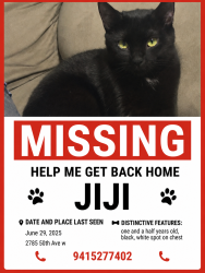 Lost Female Cat last seen 50th or 30th, Bradenton, FL 34207