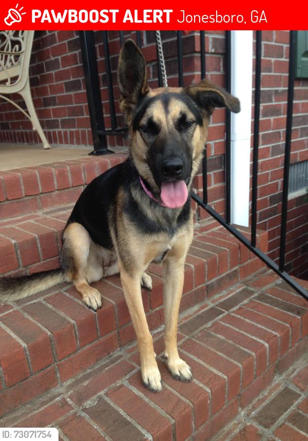 Lost Female Dog last seen Lake Spivey, Jonesboro, GA 30236
