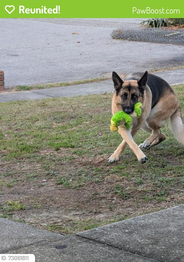 Reunited Female Dog last seen Hwy 22 and Shirley street , Panama City, FL 32404