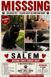 Lost Male Cat last seen Fairfax & Panorama, Bakersfield, CA 93306