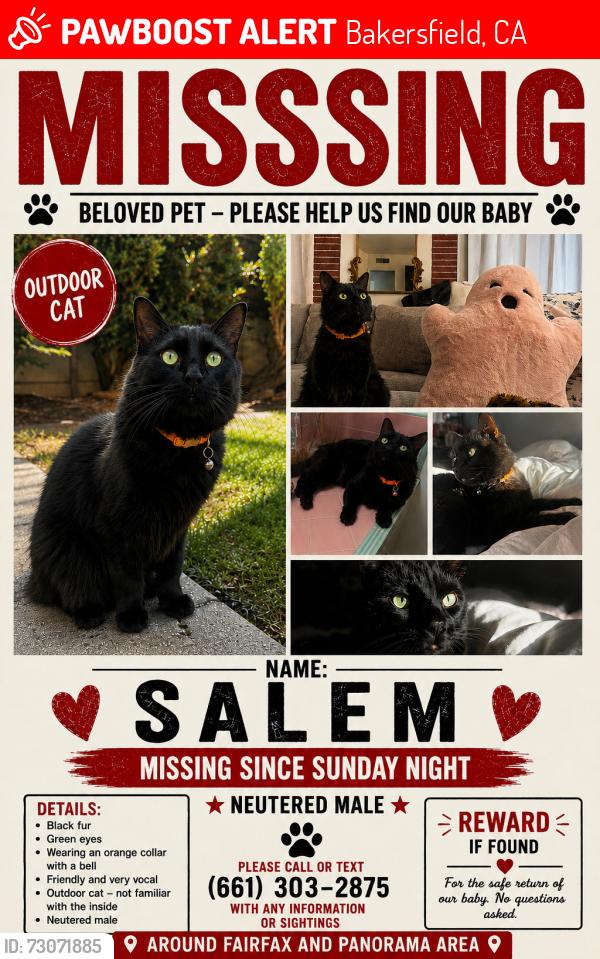 Lost Male Cat last seen Fairfax & Panorama, Bakersfield, CA 93306