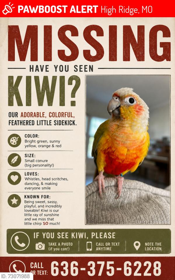 Lost Female Bird last seen Spruce Drive, High Ridge, MO 63049