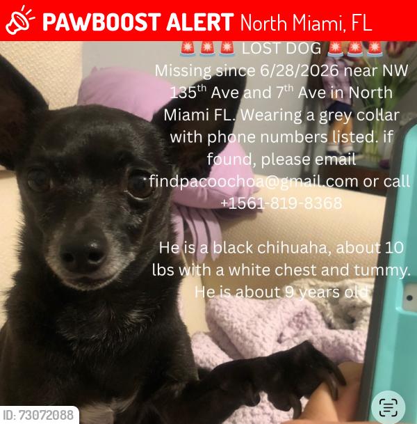 Lost Male Dog last seen Near NW Tenth Ave North Miami, FL  33168 United States, North Miami, FL 33168