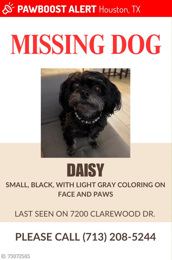 Lost Female Dog last seen Ceder mill condos, Houston, TX 77036