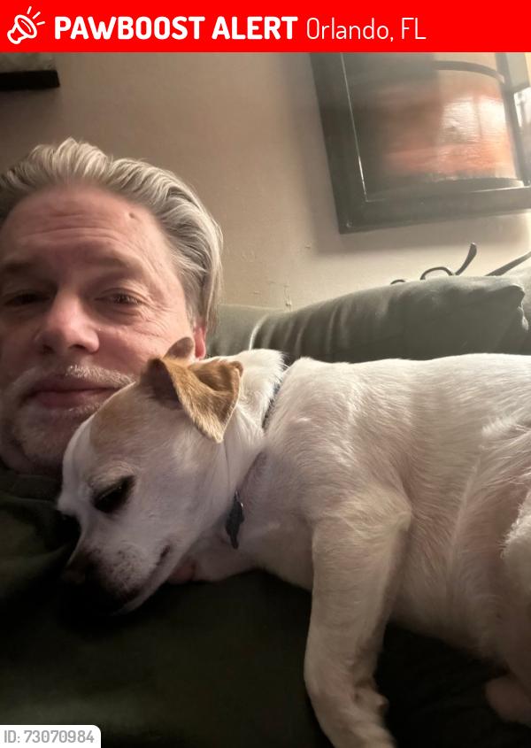 Lost Male Dog last seen Mill st and E Anderson st Orlando, Orlando, FL 32801