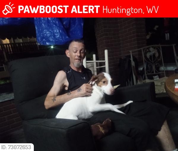 Lost Female Dog last seen Washington Ave, Huntington, WV 25704