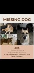 Lost Female Dog last seen Northstar, Victorville, CA 92392