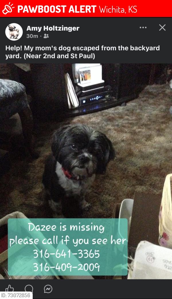 Lost Female Dog last seen St Paul and 2nd, Wichita, KS 67203