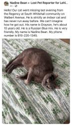 Reunited Male Cat last seen The Regency South Whitehall Twsp, Allentown, PA 18102