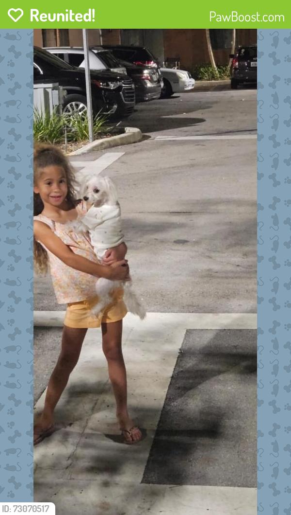 Reunited Male Dog last seen Near the park at Madison apmts , Miami, FL 33131