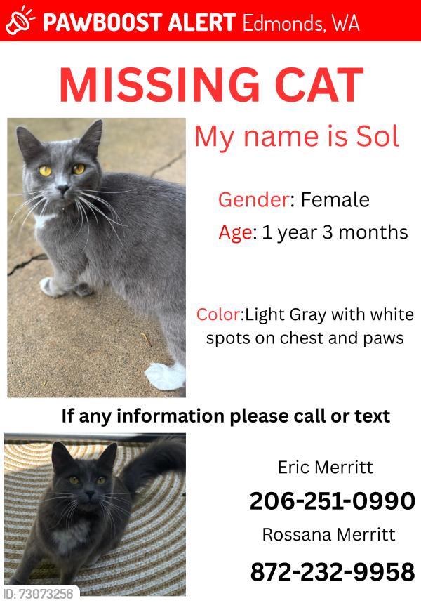 Lost Female Cat last seen 142ndPL SW edmonds, Edmonds, WA 98026
