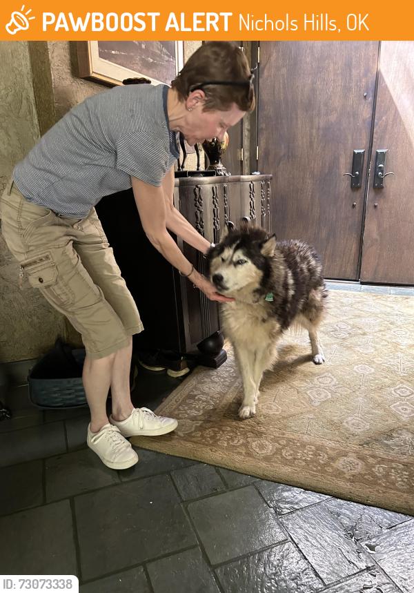 Found/Stray Unknown Dog last seen Country Club Dr residential neighborhood, Nichols Hills, OK 73116