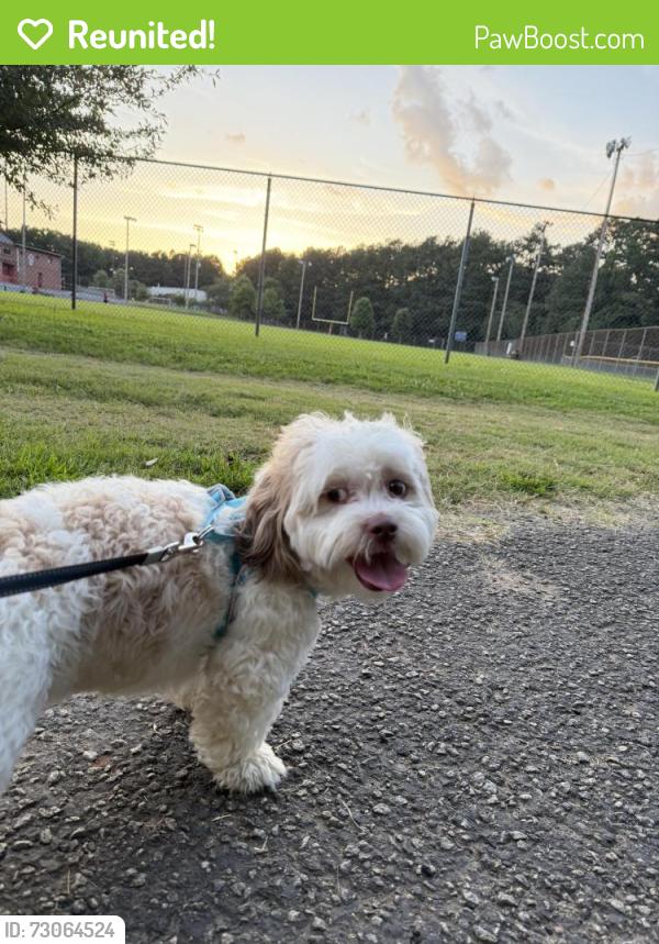 Reunited Male Dog last seen Pin Oak Cir, Oakliff Rd , Doraville, GA 30340