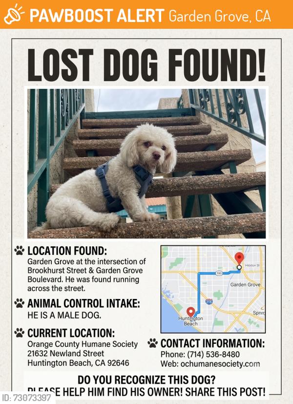 Found/Stray Male Dog last seen Near Brookhurst St Garden Grove Ca 92843, Garden Grove, CA 92843