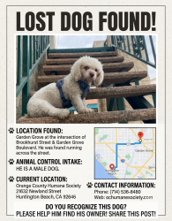 Found/Stray Male Dog last seen Near Brookhurst St Garden Grove Ca 92843, Garden Grove, CA 92843