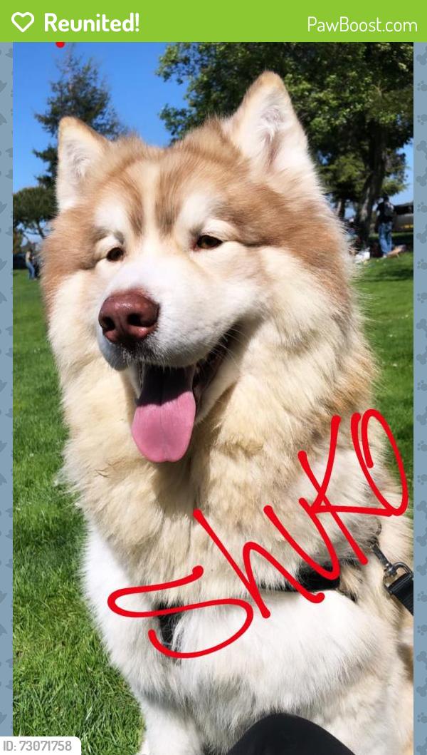 Reunited Male Dog last seen Near 82nd Ave, Oakland, CA 94621, USA, Oakland, CA 94621