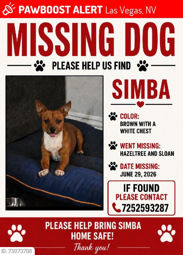Lost Male Dog last seen Sloan and Charleston, Las Vegas, NV 89142