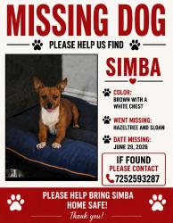 Lost Male Dog last seen Sloan and Charleston, Las Vegas, NV 89142