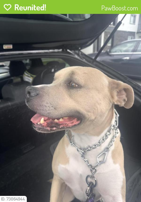 Reunited Male Dog last seen Broadway & Barker, Spokane Valley, WA 99037
