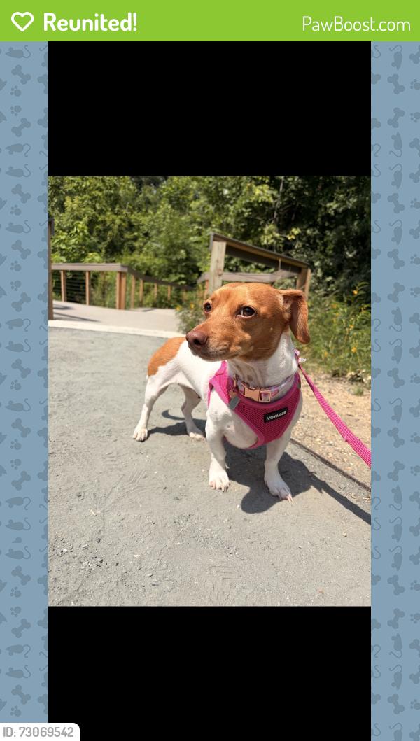Reunited Female Dog last seen Fords landing surrounding area, Alexandria, VA 22314