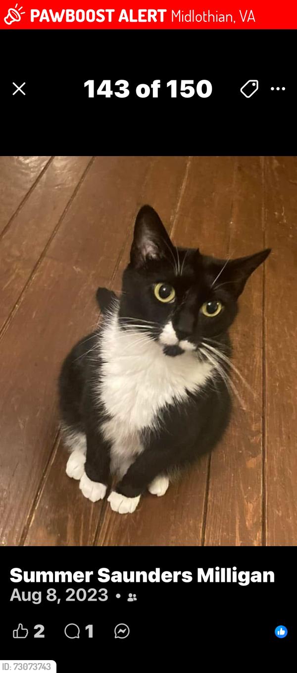 Lost Male Cat last seen Charter Colony, Clayborne Lane Village, Midlothian, VA 23114