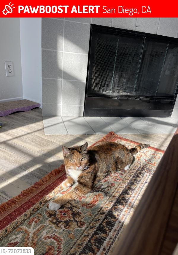 Lost Female Cat last seen 54th and New Mills, San Diego, CA 92115