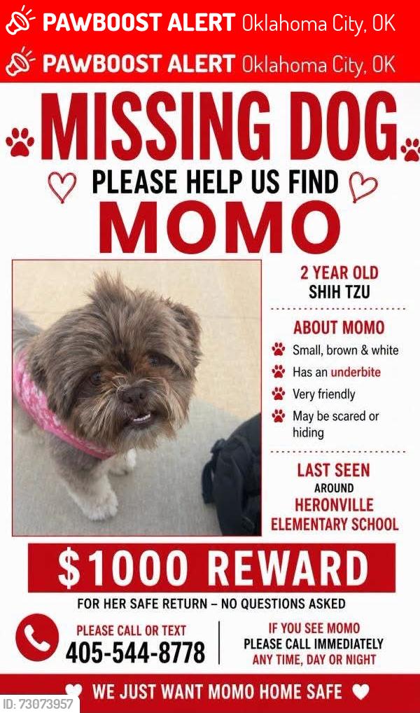 Lost Female Dog last seen Heronville Elementary School, Oklahoma City, OK 73109
