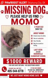 Lost Female Dog last seen Heronville Elementary School, Oklahoma City, OK 73109