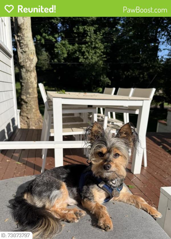 Reunited Male Dog last seen Near Woods Way, Larchmont, NY 10538, USA, Larchmont, NY 10538