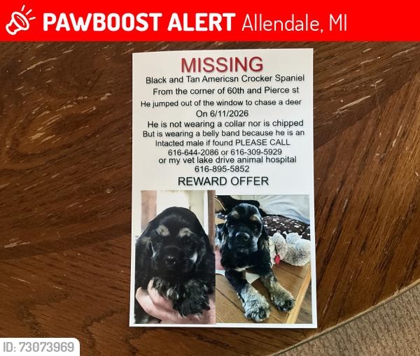 Lost Male Dog last seen 60th and Pierce st Allendale Michigan, Allendale, MI 49401