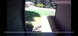 Found/Stray Unknown Cat last seen Riverbank Dr between 78 and Five Forks, Lilburn, GA 30047