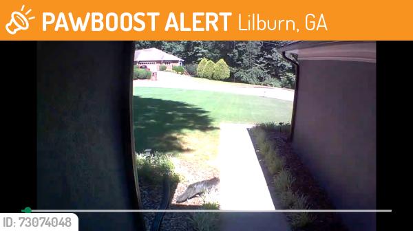 Found/Stray Unknown Cat last seen Riverbank Dr between 78 and Five Forks, Lilburn, GA 30047
