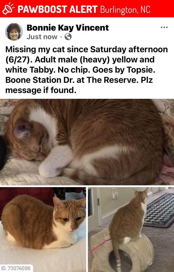 Lost Male Cat last seen Garden Rd., Liberty Commons, Burlington, NC 27215