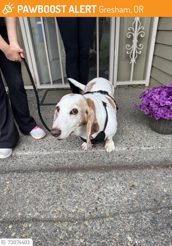 Found/Stray Unknown Dog last seen SW willowbrook and binford lake pkwy, Gresham, OR 97080