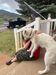 Lost Male Dog last seen From a shop near a church, Kearns, UT 84118