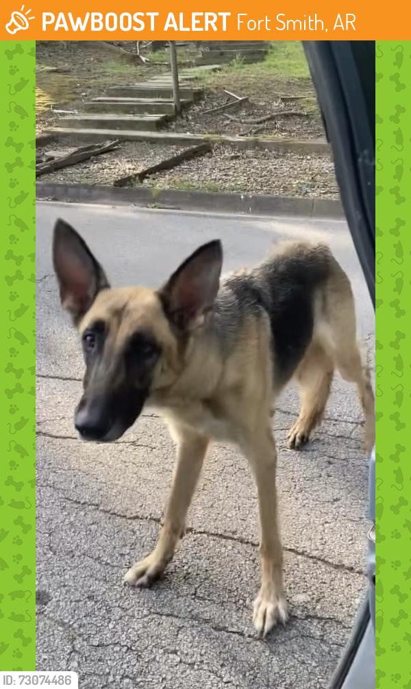 Found/Stray Female Dog last seen Going toward Fairview Elementary School, Fort Smith, AR 72901
