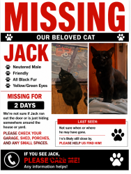 Lost Male Cat last seen Palmer rd sw, Reynoldsburg, OH 43068